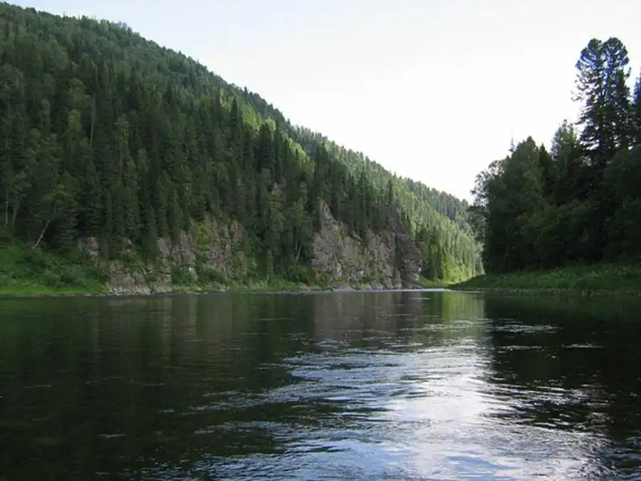 Условия существования очагового биоценоза Условия существования очагового биоценоза