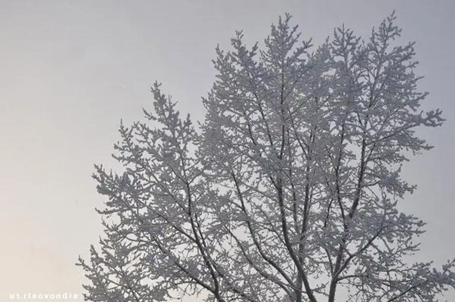 Связь между природным физико-географическим районированием территории и ландшафтной типизацией очагов Связь между природным физико-географическим районированием территории и ландшафтной типизацией очагов