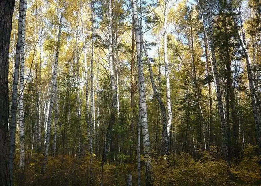 Ландшафтная типизация очагов и проблема микроочаговости Ландшафтная типизация очагов и проблема микроочаговости