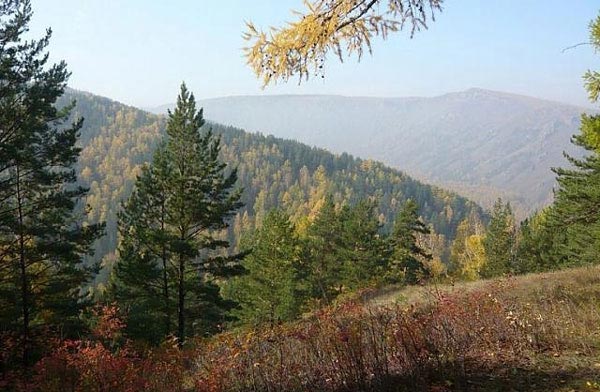 Разные типы арвиколярных очагов