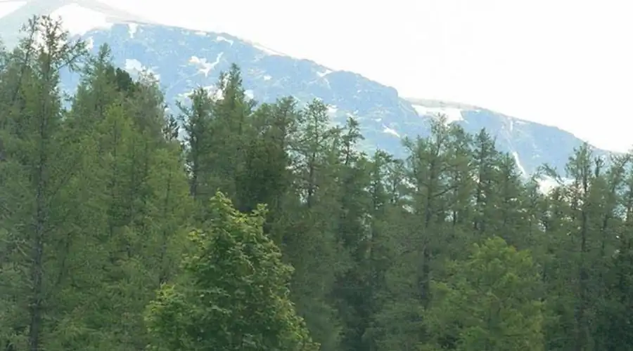 Задача ландшафтно-эпидемиологического районирования Задача ландшафтно-эпидемиологического районирования