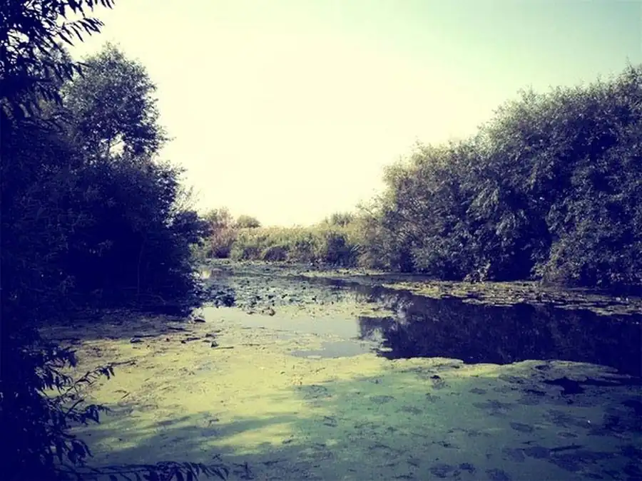 Литература по ландшафтной типизации очагов. Часть 2 Литература по ландшафтной типизации очагов. Часть 2