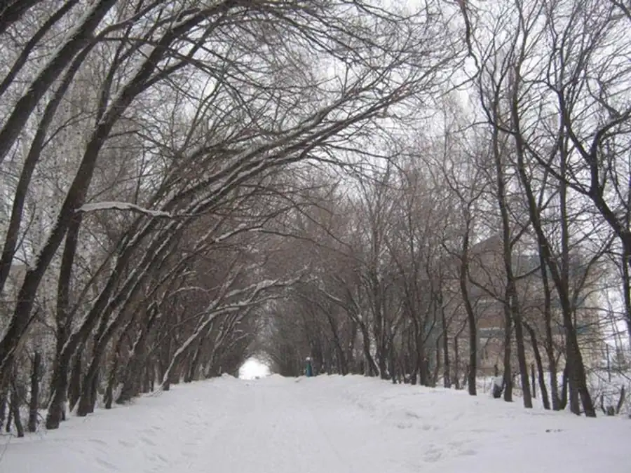 Литература по ландшафтной типизации очагов. Часть 3 Литература по ландшафтной типизации очагов. Часть 3