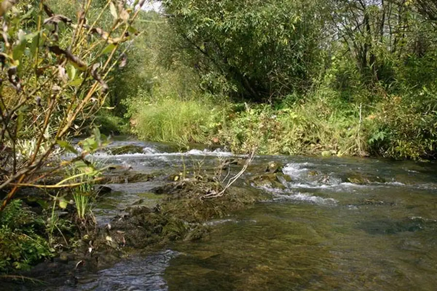 Распространение и численность мышевидных грызунов