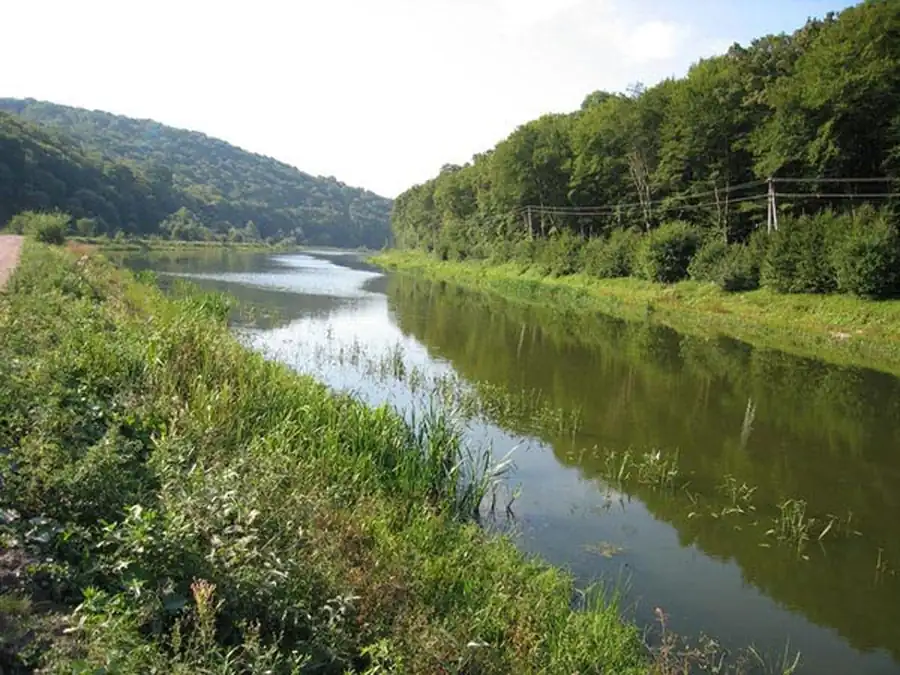 Ландшафтные различия в распространении и численности видов животных Ландшафтные различия в распространении и численности видов животных