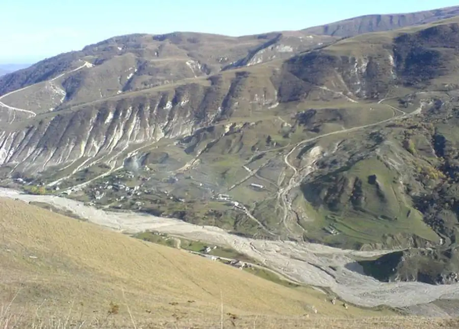 Распространение и численность отдельных видов грызунов