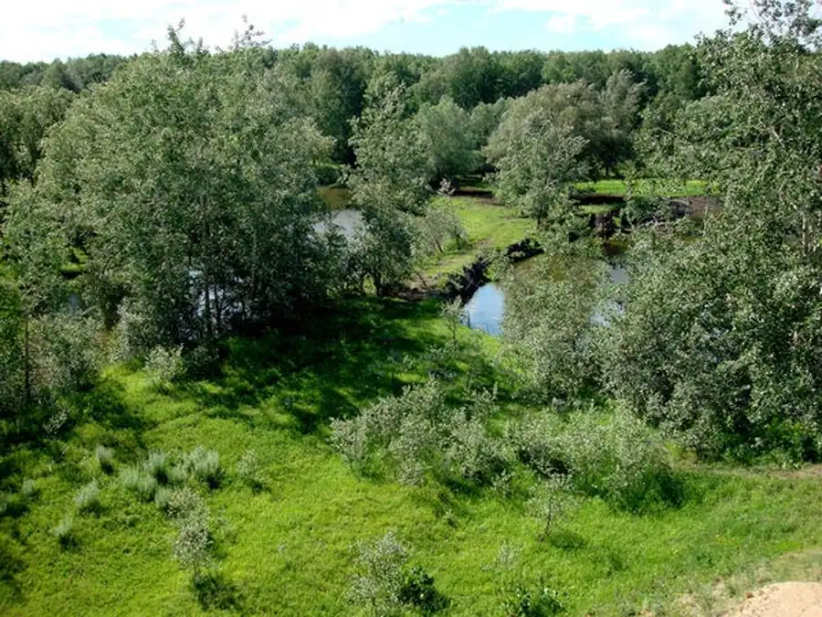 Распространение грызунов в Новосибирской области Распространение грызунов в Новосибирской области