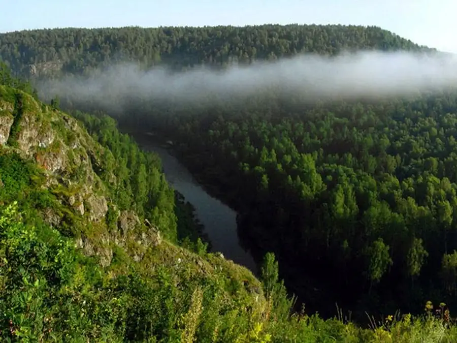 Типчные грызуны в Новосибирской области Типчные грызуны в Новосибирской области