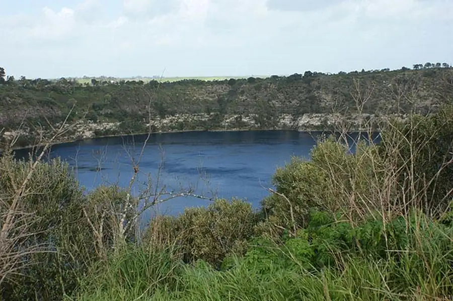Типичные грызуны в Новосибирской области Типичные грызуны в Новосибирской области