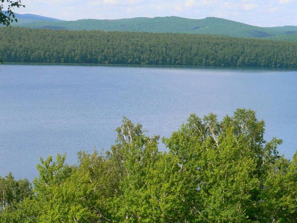 Распространение грызунов в Новосибирской области