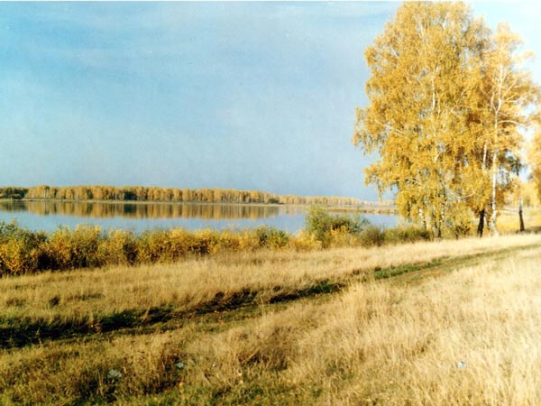Ландшафтные комплексы грызунов