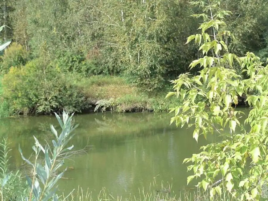 Грызуны северной болотной и центральной лесостепи Грызуны северной болотной и центральной лесостепи