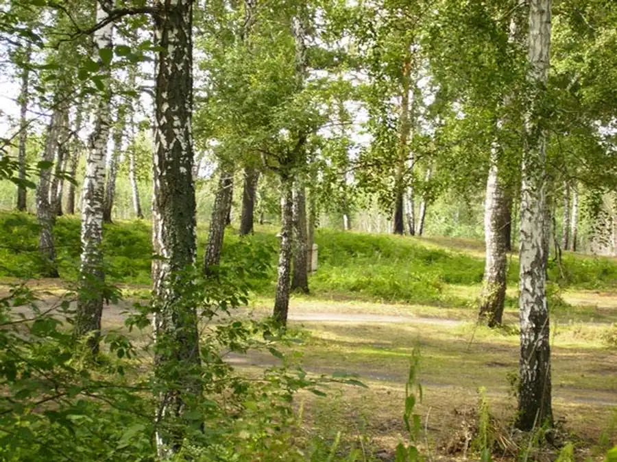 О классификации типов очагов О классификации типов очагов