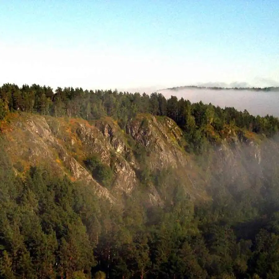 Арвиколярные очаги Арвиколярные очаги