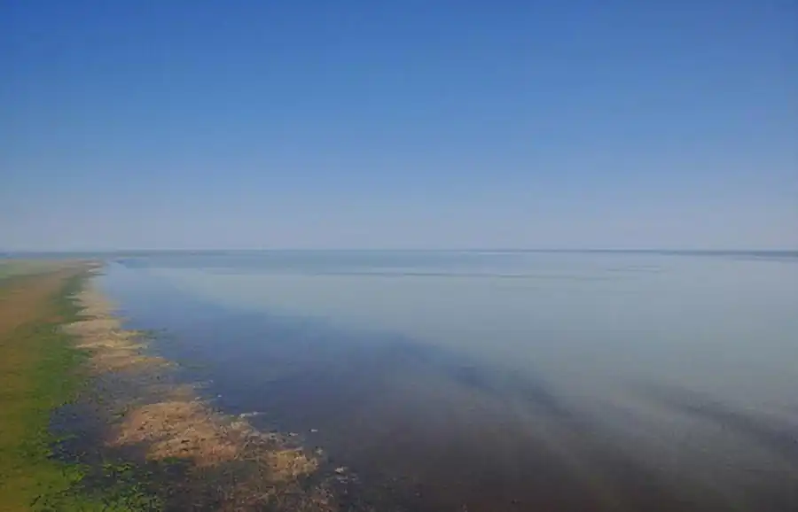 Группа интразональных болотно-озерно-речных (арвиколярных) очагов туляремии Группа интразональных болотно-озерно-речных (арвиколярных) очагов туляремии