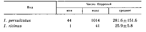 Количество боррелий, обнаруживаемое в отдельных особях клещей рода Ixodes Количество боррелий, обнаруживаемое в отдельных особях клещей рода Ixodes