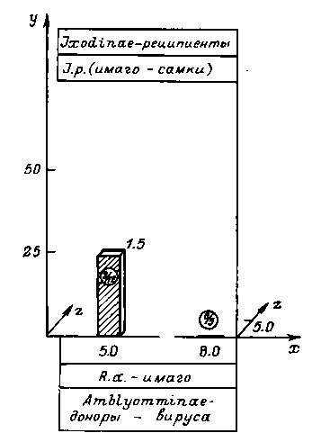 Обмен вирусом КЭ между клещами подсем. Amblyomminae и Ixodinae Обмен вирусом КЭ между клещами подсем. Amblyomminae и Ixodinae