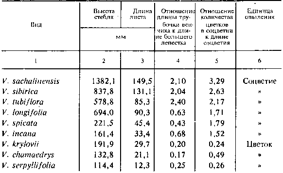 Характеристика видов вероник по ряду признаков