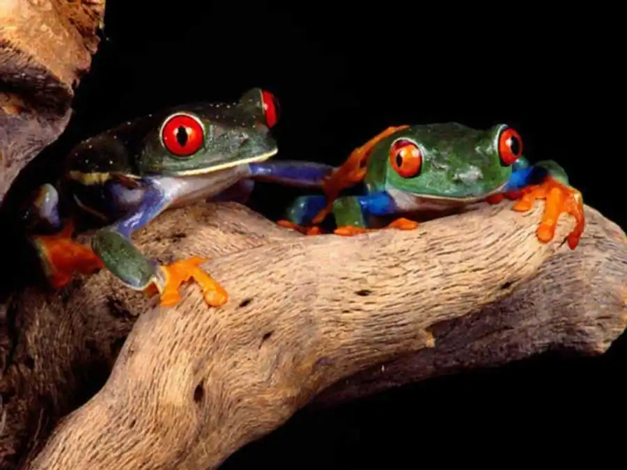 Литература по валентности ядра. Часть 2 Литература по валентности ядра. Часть 2