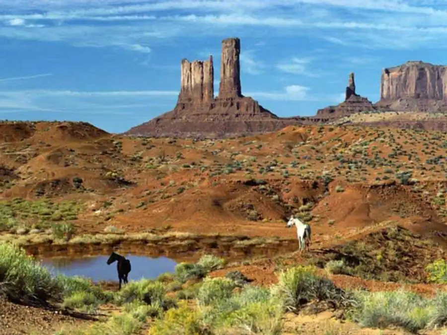 Авторепродукция, деление, индивидуальное развитие и эволюция Авторепродукция, деление, индивидуальное развитие и эволюция