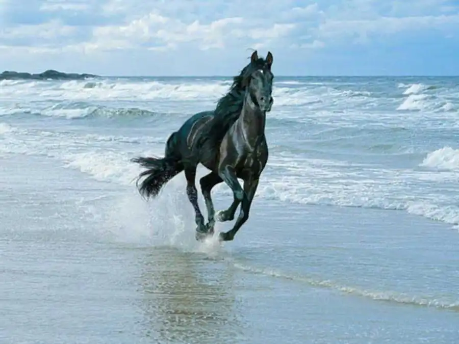 Польза костализации сказывается лишь при строго ограниченных условиях Польза костализации сказывается лишь при строго ограниченных условиях