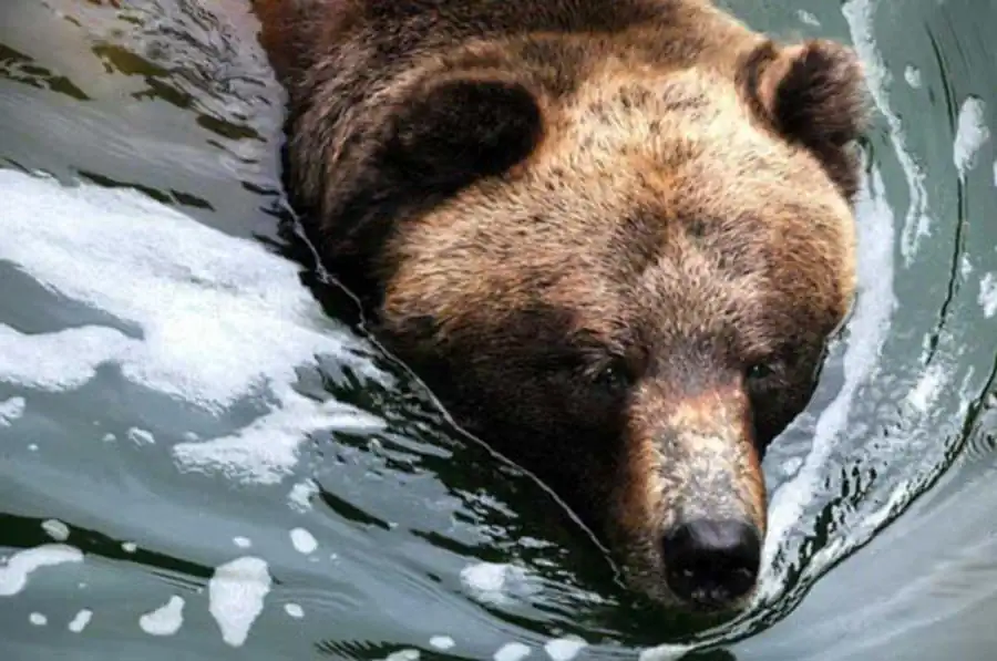 Повышение реактивности организма на воздействие среды Повышение реактивности организма на воздействие среды