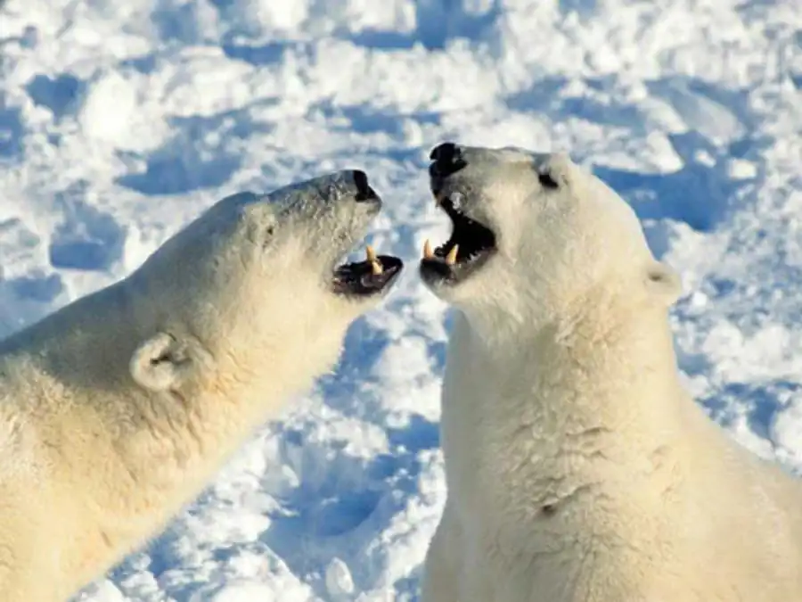 Эволюции как регулируемый процесс