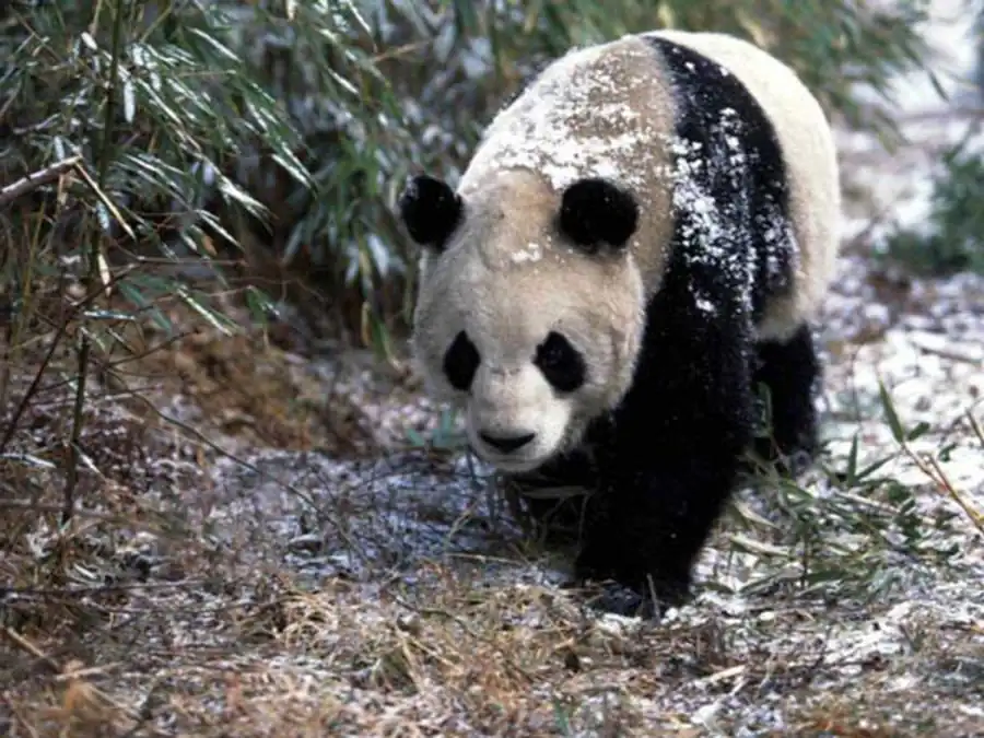 Эволюция не только закономерный процесс, она процесс регулируемый