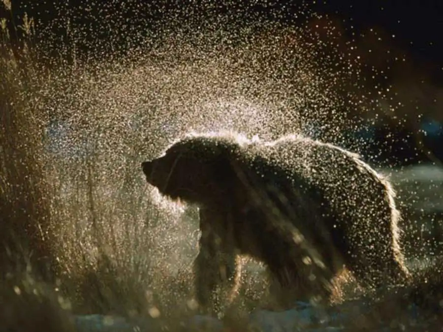 Живые системы это системы, устойчиво преобразующиеся Живые системы это системы, устойчиво преобразующиеся