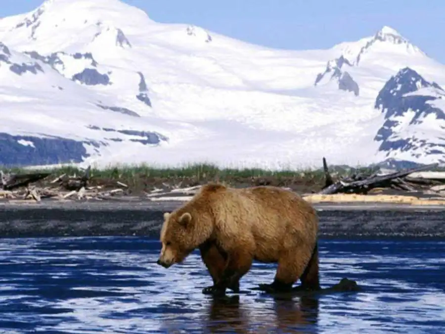 Литература по эволюционирующим системам. Часть 2 Литература по эволюционирующим системам. Часть 2