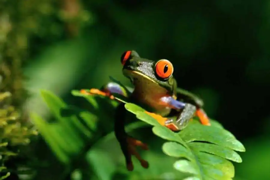 Преобразование всех уровней организации живого Преобразование всех уровней организации живого