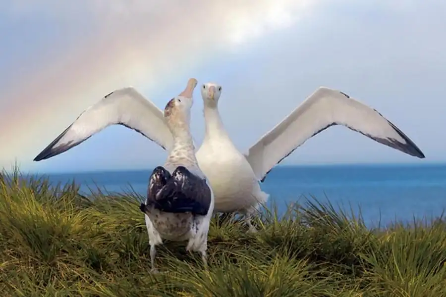 Микроэволюция и макроэволюция Микроэволюция и макроэволюция