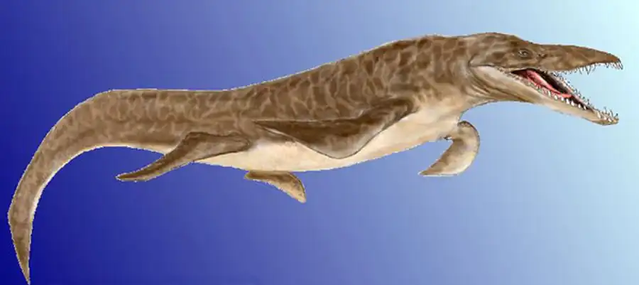 Плезиозавры и ихтиозавры