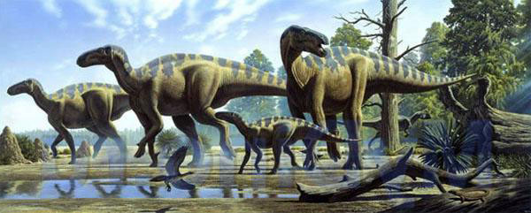 Птицетазовые (Ornithischia)