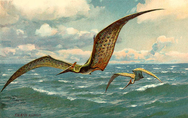 Птеродактили (Pterosauria)