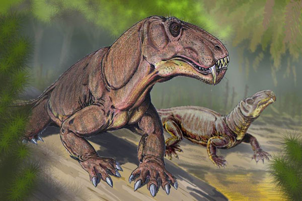 Звероподобные (Theromorpha)