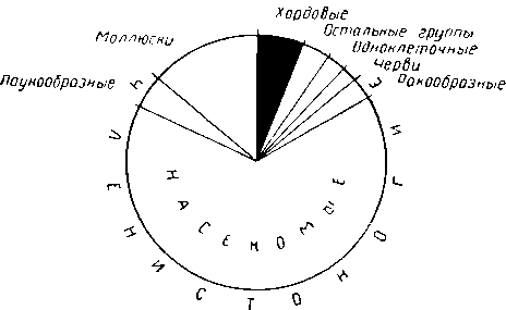 Относительное количество видов различных групп животных