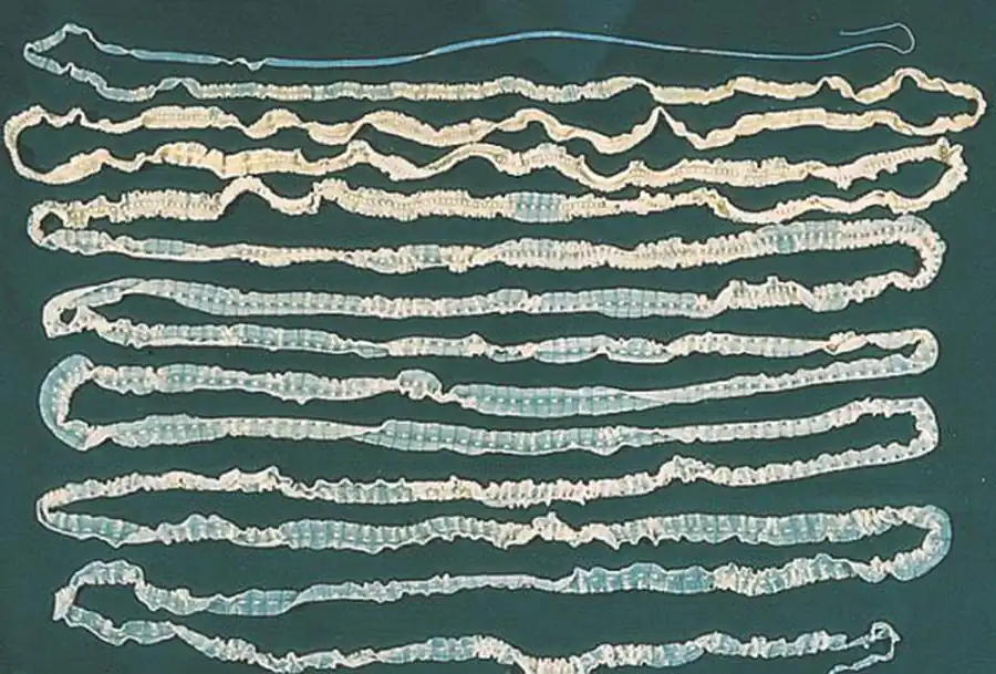 Отряд лентецы (Pseudophyllidea)