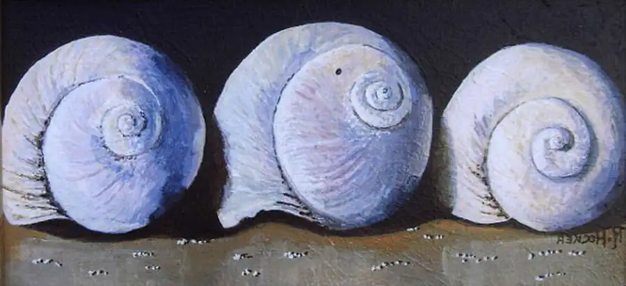 Класс Брюхоногие (Gastropoda)