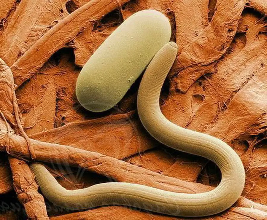 Первичнополостные черви