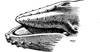 Расположение Расположение