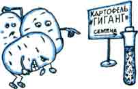 Десять в плюс шестой