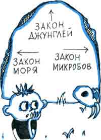 Поговорим о плесени