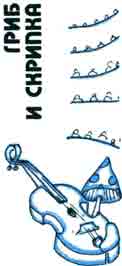 Гриб и скрипка