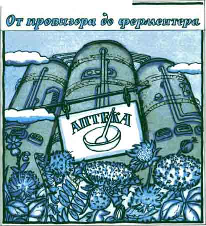 От провизора до фермера