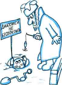Одетые в панцирь