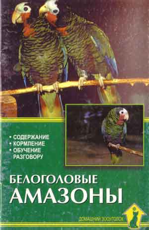 Белоголовые амазоны