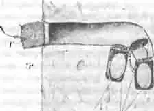 Старая норка антофоры (Anth. parietina), занятая осмией рогатой Старая норка антофоры (Anth. parietina), занятая осмией рогатой
