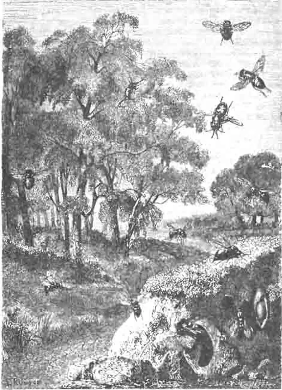 Паразитные хризнды, летающие и выходящие из норок роющих ос. Паразитные хризнды, летающие и выходящие из норок роющих ос.