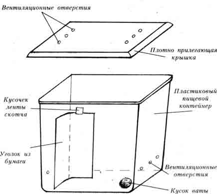 СХЕМА «СТАНДАРТНОГО» САДКА ДЛЯ ПАУКОВ